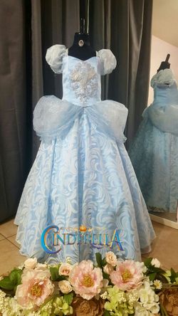 Cinderella costume cenicienta