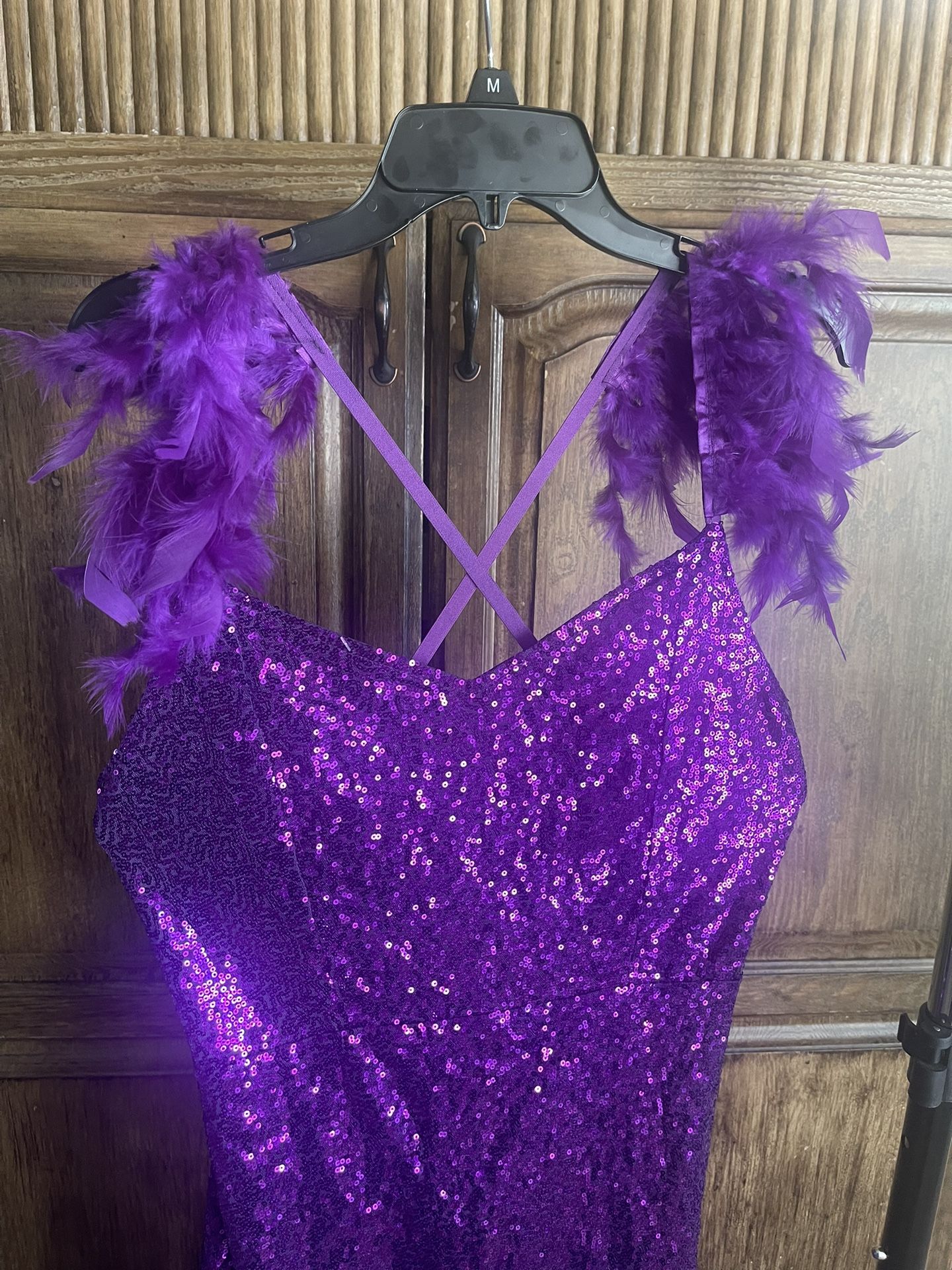 Purple Boa-lined Sequined Halloween dress