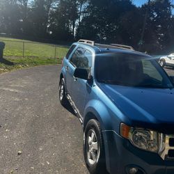 2010 Ford Escape