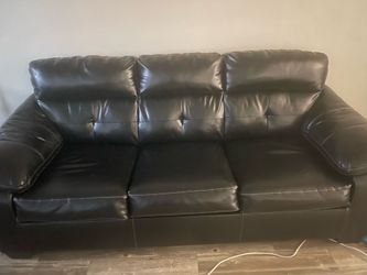2 seat and 3seat w/pull out bed