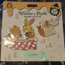 Winnie The Pooh 5/12 Pin