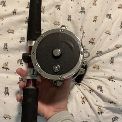 9/0 Senator On Custom 8 Foot Dagger Bottom Rod 