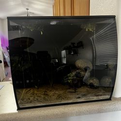 Fluval Flex 15 AIO Fish Tank