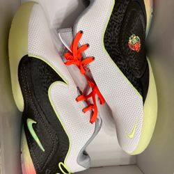 Size 11.5 Lebrons