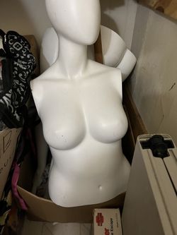 Manikin 