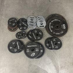 Barbell Weights And Weight Storage Rack