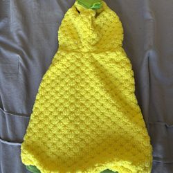 pineapple puppy costume 
