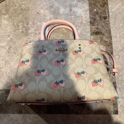 Coach Strawberry Bag 
