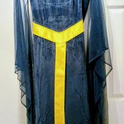 Ladies Renaissance Velvet Dress With Attached hol