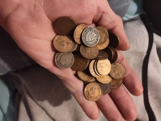 Indian  Head Pennies 