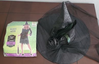 Women's witch costume, size M for Halloween – worn once. $10