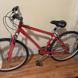 Raleigh Adult Aluminum mountain Bike 