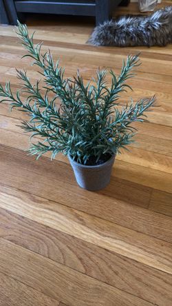 3 Fake Plants with Platter