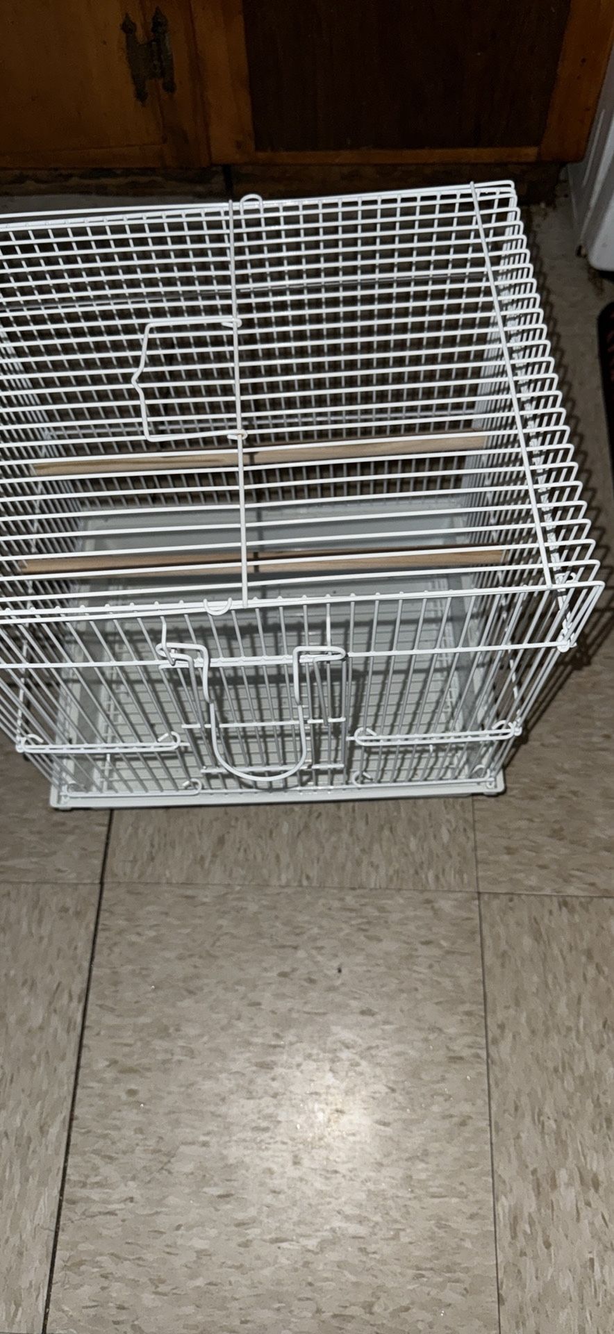 Buggie Parakeet cage comes with food and treats