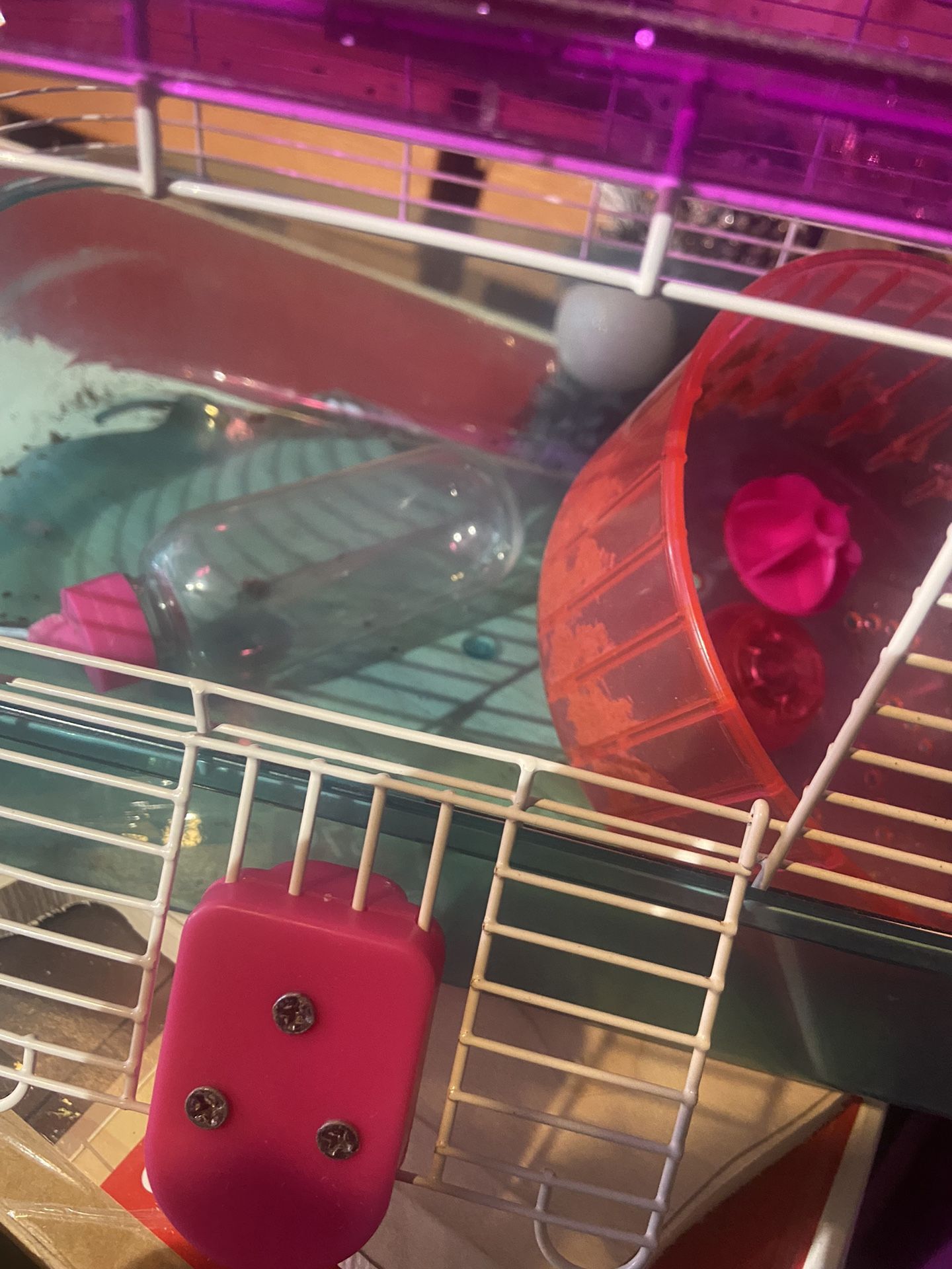 Hámster Cage Used