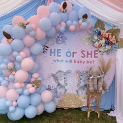 baby reveal decorations