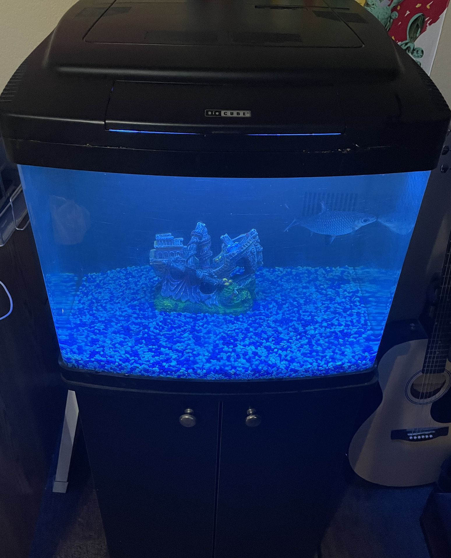Fish Tank Aquarium Fresh Or Saltwater 