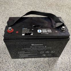 Renogy 12V 100Ah Lithium Iron Phosphate Battery w/ Bluetooth LiFePO4