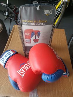 Everlast training gloves