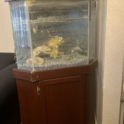 24 Gallon Fish Tank