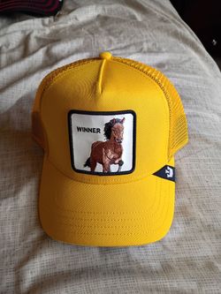 Winner Goorin bros hat
