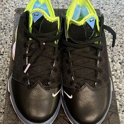 Nike LeBron XIX Low Shoe 
