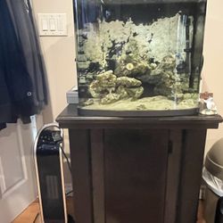 Fish Tank With Stand