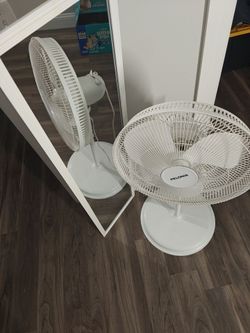 Fan and Mirror