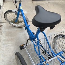 True bicycle 2024 fold and go