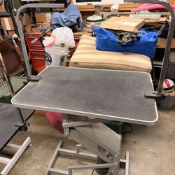 Grooming  Table 