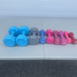 Dumbbell assorted lot plastic and rubber. 43 lbs total. Location below  31705 SR-54  Wesley Chapel,
