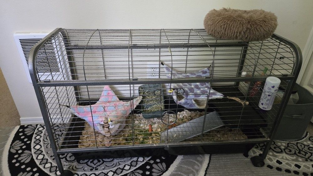 Extra Large Cage With Sleeping Hamocs,playpen And Toys And Accessories, Food And Other Supplies For 2 Guinea Pigs