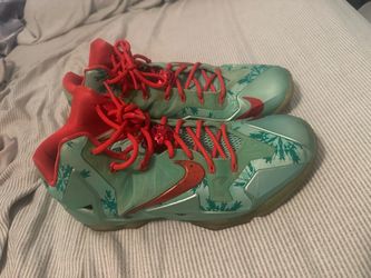 LeBron 10/11 Lake Hornets & Christmas