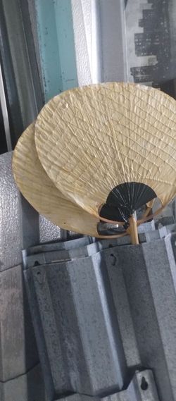 Wall art fan
