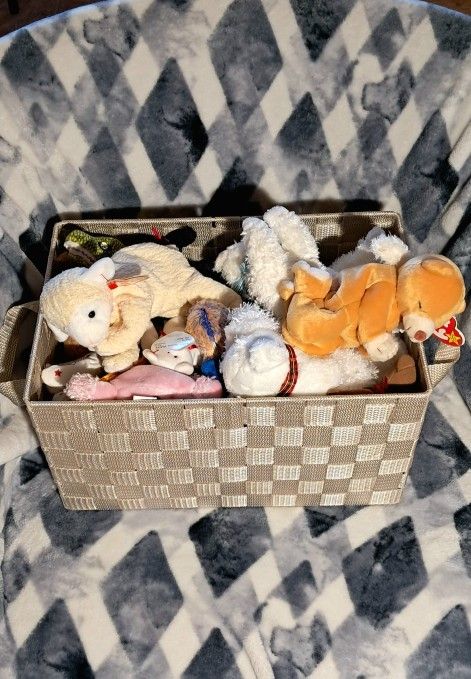 6 And A Half Pounds Of Beanie Babies
