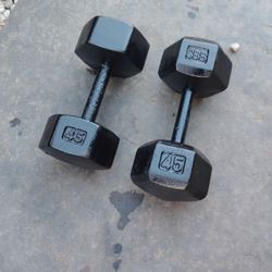45lbs Dumbbells 
