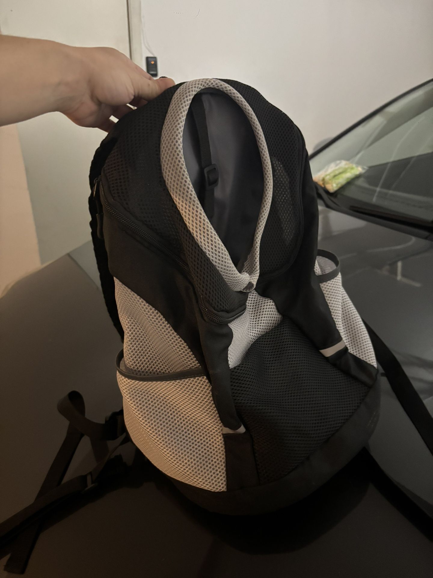 Dog Carrying Backpack