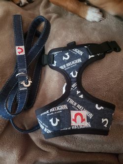 Harness and Leach / Collar Y Cadena (Small) $20