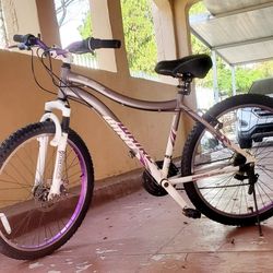 women's bicycle 26 Inch Very Comfort 