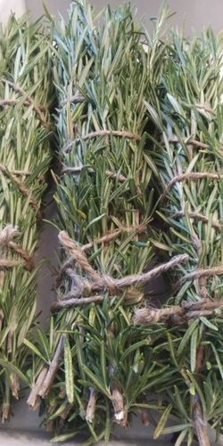 Rosemary Bundles 