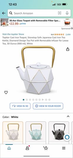 Cast Iron Teapot