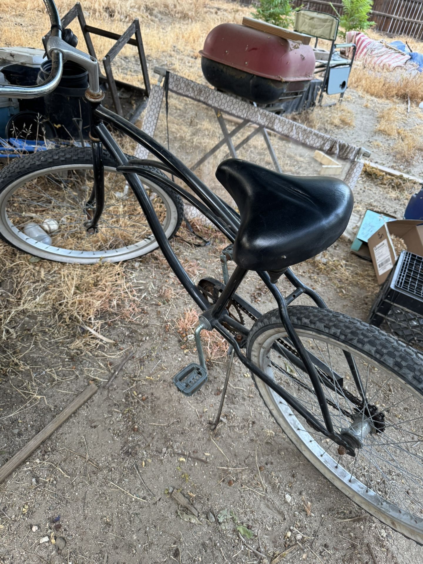 Beach Cruiser