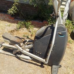 Elliptical Horizan