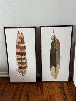 Set of 2 Framed Feathers Wall Art