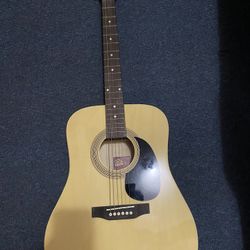 Rogue Acoustic Guitar W/ Bag