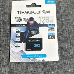 Team Group Micro SD Go Card