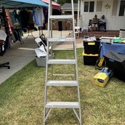 6 Ft Aluminum Ladder