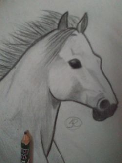 Farm horse art