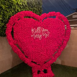 Will You Marry Me Heart