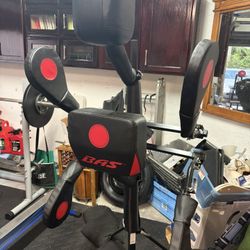 BAS punching bag